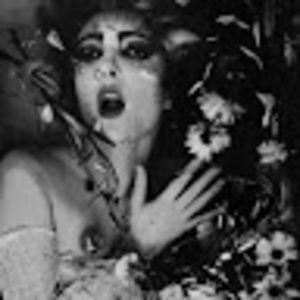 Meet your Posher, Maud